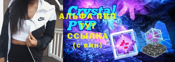 ПСИЛОЦИБИНОВЫЕ ГРИБЫ Магас