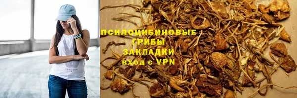 ПСИЛОЦИБИНОВЫЕ ГРИБЫ Магас