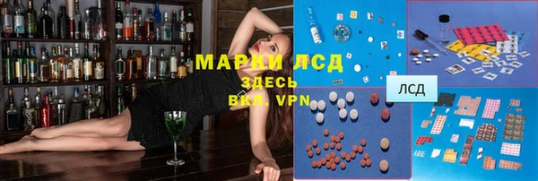 ПСИЛОЦИБИНОВЫЕ ГРИБЫ Магас
