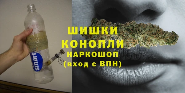 ПСИЛОЦИБИНОВЫЕ ГРИБЫ Магас