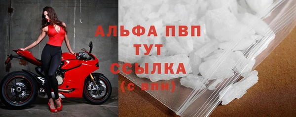 ПСИЛОЦИБИНОВЫЕ ГРИБЫ Магас