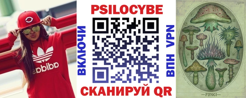 Галлюциногенные грибы MAGIC MUSHROOMS  гидра tor  Менделеевск  цены наркотик 
