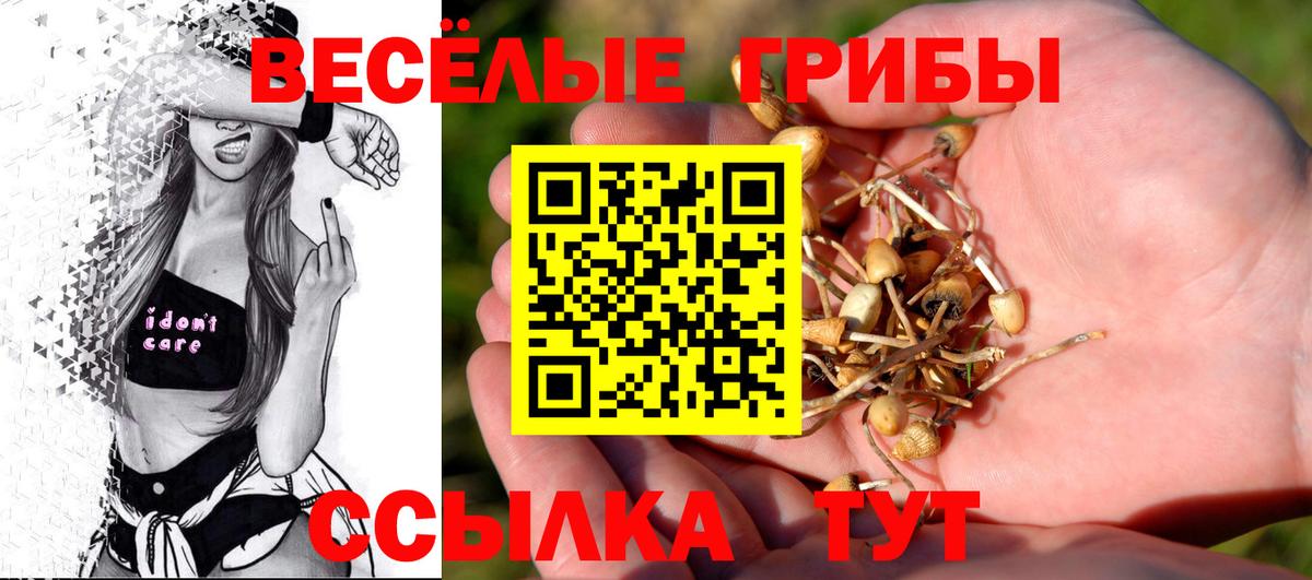 Менделеевск  Псилоцибиновые грибы ЛСД  Галлюциногенные грибы прущие грибы  Вход с VPN 