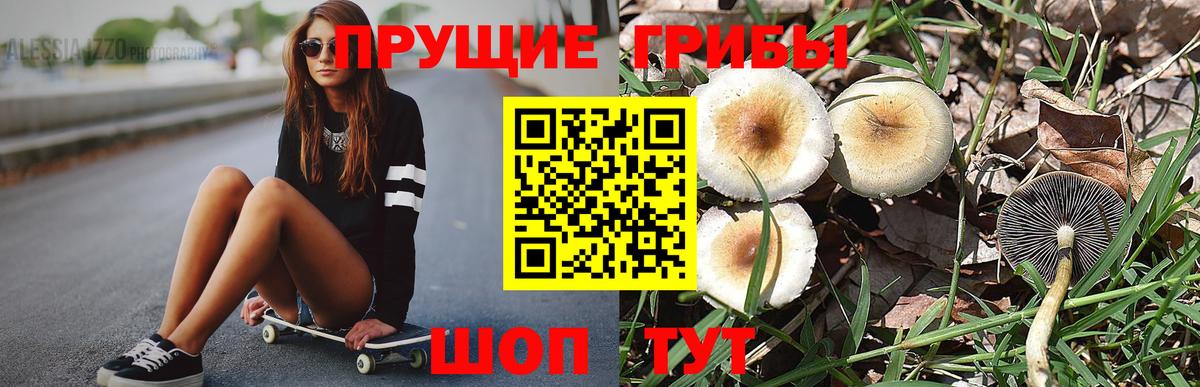 Галлюциногенные грибы GOLDEN TEACHER Менделеевск