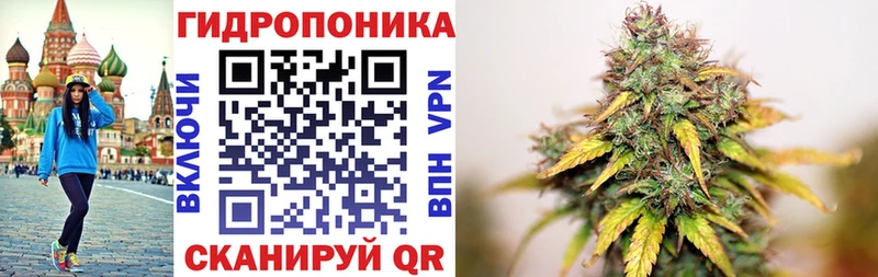 Шишки марихуана MAZAR  Менделеевск 
